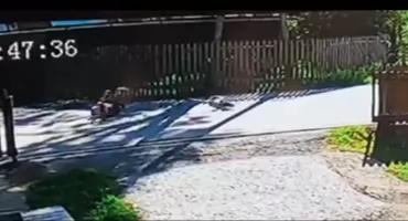 Groźny upadek dziecka na hulajnodze elektrycznej - policjanci prezentują nagranie ku przestrodze