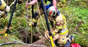 Strażacy z Kościeliska interweniowali w nietypowej sytuacji - uratowali psa