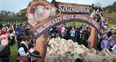 Jubileuszowy Jesienny Redyk w Szczawnicy – święto tradycji pasterskich w sercu Pienin