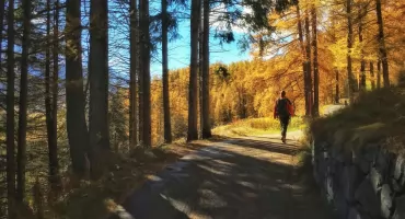 Czym się różni softshell od zwykłej kurtki? Kiedy go nosić?