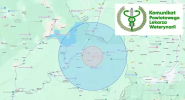 Wykryto ognisko ptasiej grypy H5N1 na Słowacji – zagrożenie obejmuje Chyżne