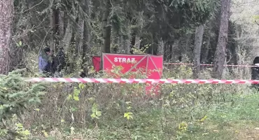 Martwy mężczyzna znaleziony w lesie w Nowej Białej
