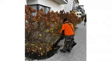 Jesienne porządki na osiedlach – dlaczego warto zadbać o czystość i zieleń przed zimą