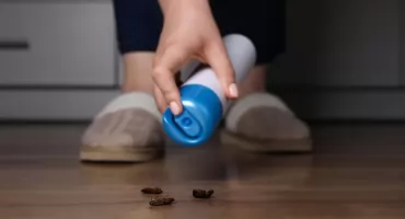 Pozbądź się karaluchów - jak działają insektycydy kontaktowe w walce z infestacją