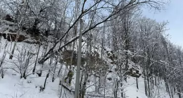 Interwencja strażaków w Starem Bystrem - drzewo przewróciło się na przewody