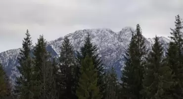 Sprzedajesz nieruchomość w górach? Dowiedz się, jak Apartmania pomoże Ci zyskać więcej