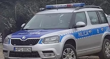 Kupuj choinkę z legalnego źródła - wspólne działania policji i Straży Parku