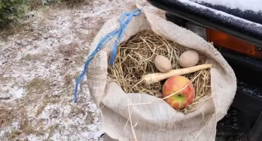 Wigilia Bożego Narodzenia – czas troski także o dzikie zwierzęta