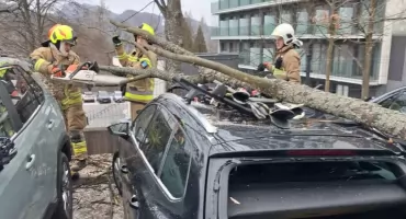Powalone drzewo spadło na samochody w Szczawnicy