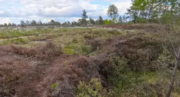 Sprzeciw wobec pomysłu włączenia Torfowisk Orawsko-Nowotarskich do TPN