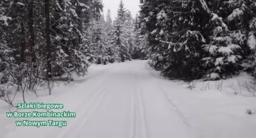 Szlaki biegowe w Borze Kombinackim przygotowane - komunikat z 10 stycznia 2026 roku