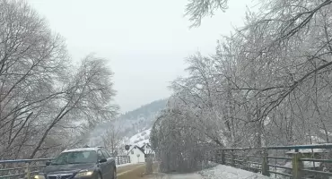 Awarie sieci energetycznej połamane drzewa i uszkodzone linie w gminie  Ochotnica Górna