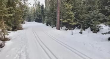 Komunikat narciarski 11 lutego 2026 - gdzie najlepiej pobiegać