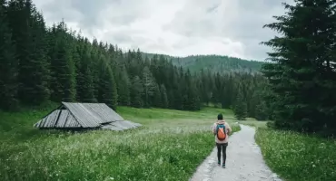 Pytania na patent strzelecki - dlaczego mieszkając w górach warto je znać zdobyć tę licencję?