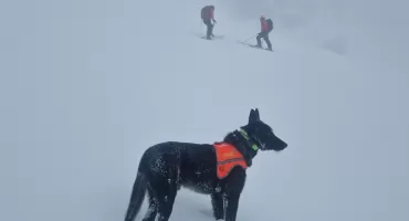 Poszukiwania turysty w Tatrach - ratownicy sprawdzają rejon Kasprowego Wierchu