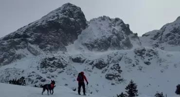 Kolejny dzień akcji ratunkowej w Tatrach - trudne warunki przerwały poszukiwania