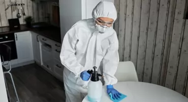 Jak wygląda profesjonalna dezynsekcja pluskiew w mieszkaniu krok po kroku?
