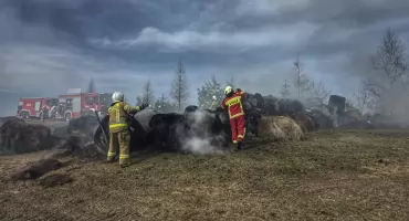 Policja informuje, co grozi za wypalanie traw