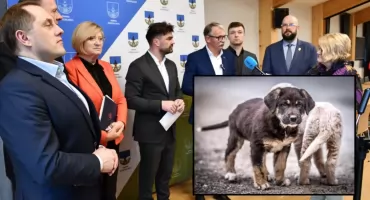 Tatrzańskie samorządy reagują na medialne zarzuty wobec schroniska w Nowym Targu