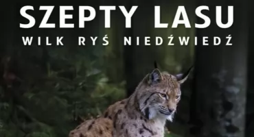 Premiera „Szeptów lasu”. Przyrodnicza opowieść z Beskidów na wielkim ekranie