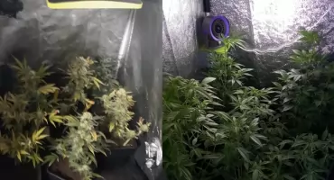 Narkotykowe znaleziska w dwóch gminach. Policja zatrzymała dwóch mężczyzn