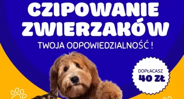 Czipowanie zwierząt w Maniowach. Prosta sprawa, a może oszczędzić sporo nerwów