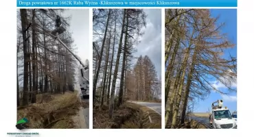 Porządki przy drogach w powiecie. Chodzi o bezpieczeństwo i lepszą widoczność