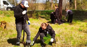 680 drzew na 680 lat. Nowy Targ zazielenił się na dobre
