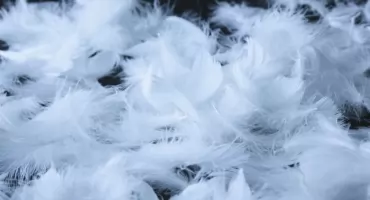 Tradycja wraca do łask. „Skubacki” znów ożywią Krościenko