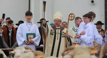 Święto Bacowskie w Ludźmierzu - kardynał Grzegorz Ryś pobłogosławił owce i baców