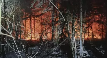 Pożar torfowisk na granicy Podczerwonego, Czarnego Dunajca i Piekielnika - nocna akcja strażaków zakończona, ale zagrożenie pozostaje