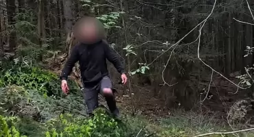  Przyłapany w lesie pod Nowym Targiem. Nielegalny proceder zakończył się wysokimi mandatami