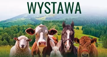 Ludźmierz ponownie stanie się stolicą hodowców. Przed nami XIII Podhalańska Wystawa Zwierząt Hodowlanych