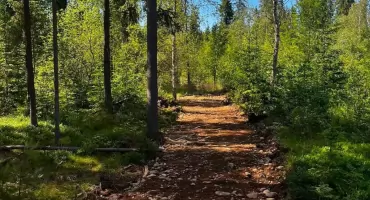 Park Bioróżnorodności nabiera kształtów - powstaje zielona wizytówka Czarnego Dunajca
