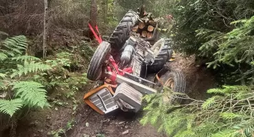 Tragiczny wypadek podczas prac leśnych w Białce Tatrzańskiej. Nie żyje starszy mężczyzna