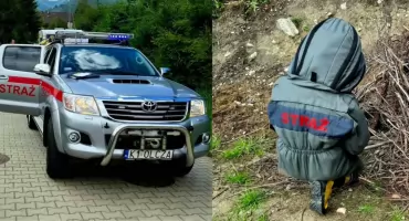  Gniazdo os zagrażało dzieciom. Strażacy interweniowali na Pardałówce w Zakopanem