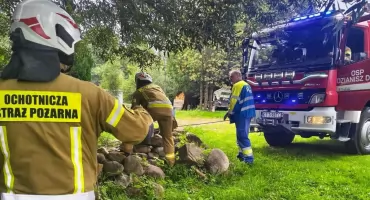 Drzewo spadło na linię średniego napięcia. Poranna akcja strażaków w Dzianiszu