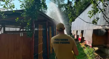  Strażacy ochłodzili zwierzęta w nowotarskim schronisku. Pomogli przetrwać falę upałów