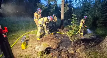 Pożar ściółki w lesie w Kościelisku. Strażacy użyli quada i kamery termowizyjnej
