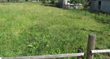 Konfederacja Barska na Podhalu i w Czarnym Dunajcu w 1769 roku