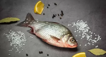 Jak przygotować ryby do dalszej obróbki, aby zachować ich jakość?