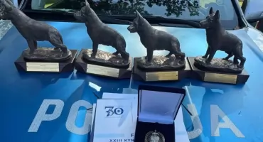 Małopolska reprezentacja najlepsza w Polsce. Policyjne psy pokazały swoje umiejętności