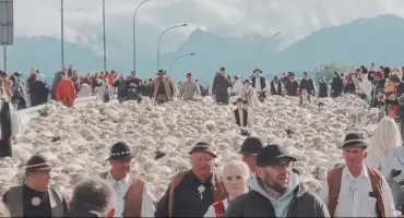 Redyk jesienny bacy Józefa Klimowskiego dotarł do Nowego Targu