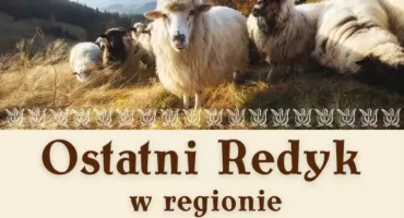 Lipnica Wielka szykuje się na Orawski Osod. Przed nami ostatni redyk sezonu