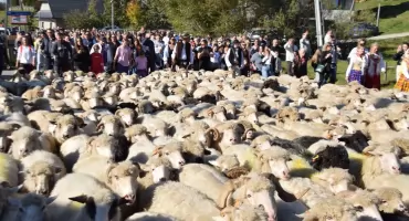 Jesienny redyk Anny i Jana Gruszków dotarł do Dzianisza - góralska tradycja zakończona Mszą Świętą dziękczynną