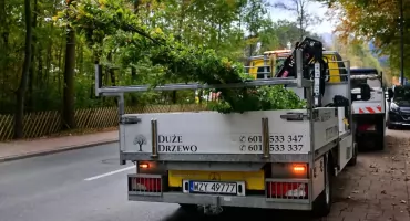 Zakopane stawia na zieleń. Posadzono nowe drzewa, kolejne pojawią się jeszcze jesienią